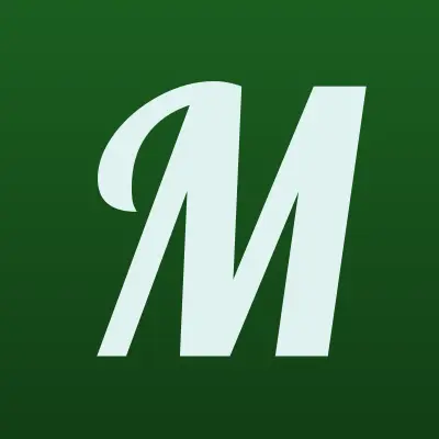 Магазин игрушек, ИП Федорова И.А., лого-визитка
