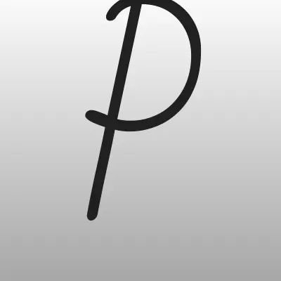 Platilkin, платежный терминал, лого-визитка