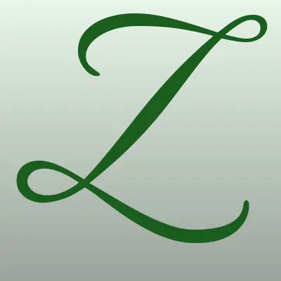 ZBS Records, интернет-магазин виниловых пластинок, лого-визитка